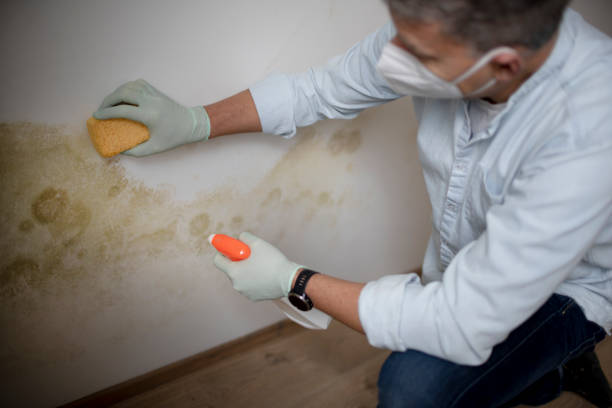 Best Crawl Space Mold Removal  in Fort Leonard Wood, MO